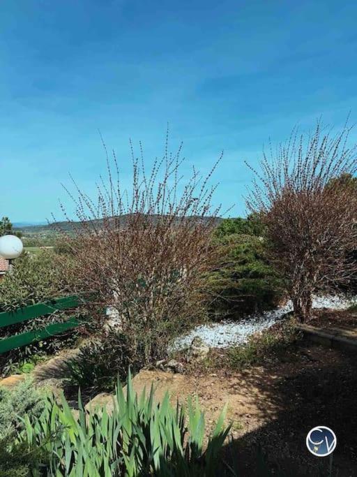 Appartamento St-Germain - Les Terrasses De L'Ardeche - Piscine Salavas Esterno foto