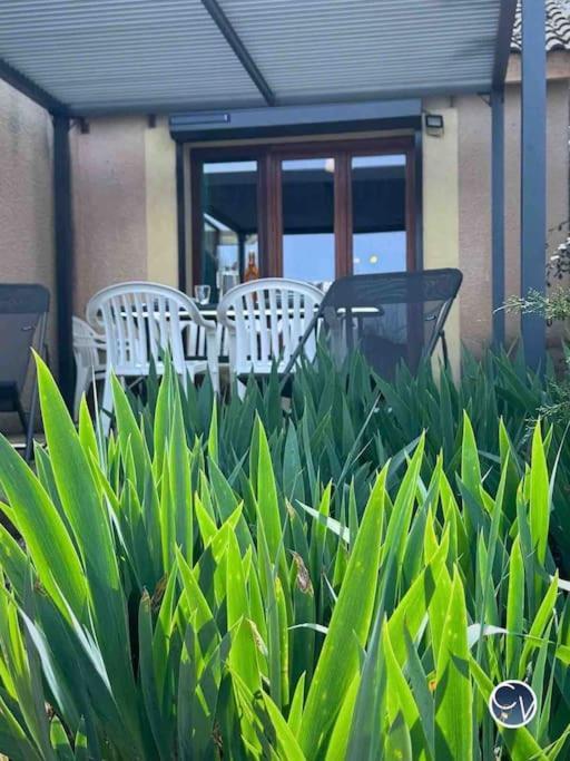 Appartamento St-Germain - Les Terrasses De L'Ardeche - Piscine Salavas Esterno foto
